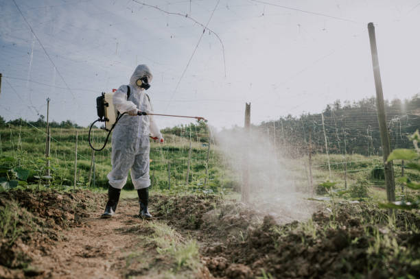 Best Best Pest Control Companies  in Moorestown Lenola, NJ