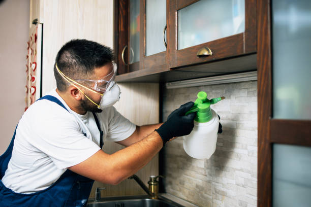 Best Pest Removal Services  in Moorestown Lenola, NJ