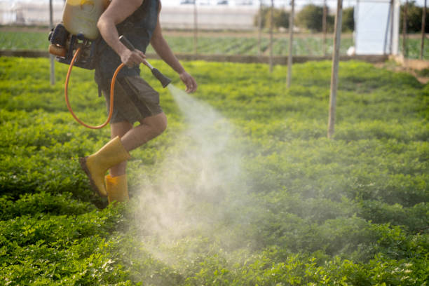 Best Local Pest Control Services  in Moorestown Lenola, NJ