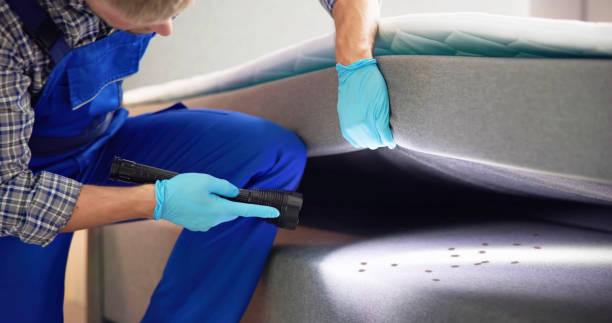 Best Insect Control  in Moorestown Lenola, NJ
