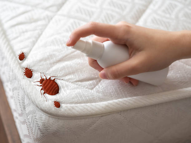 Best Pest Removal Services  in Moorestown Lenola, NJ