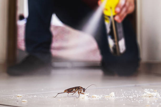 Best Local Pest Control Services  in Moorestown Lenola, NJ
