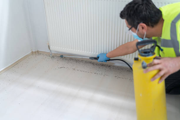  Moorestown Lenola, NJ Pest Control Pros