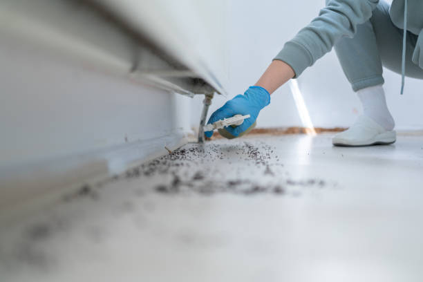 Best Spider Control Near Me  in Moorestown Lenola, NJ